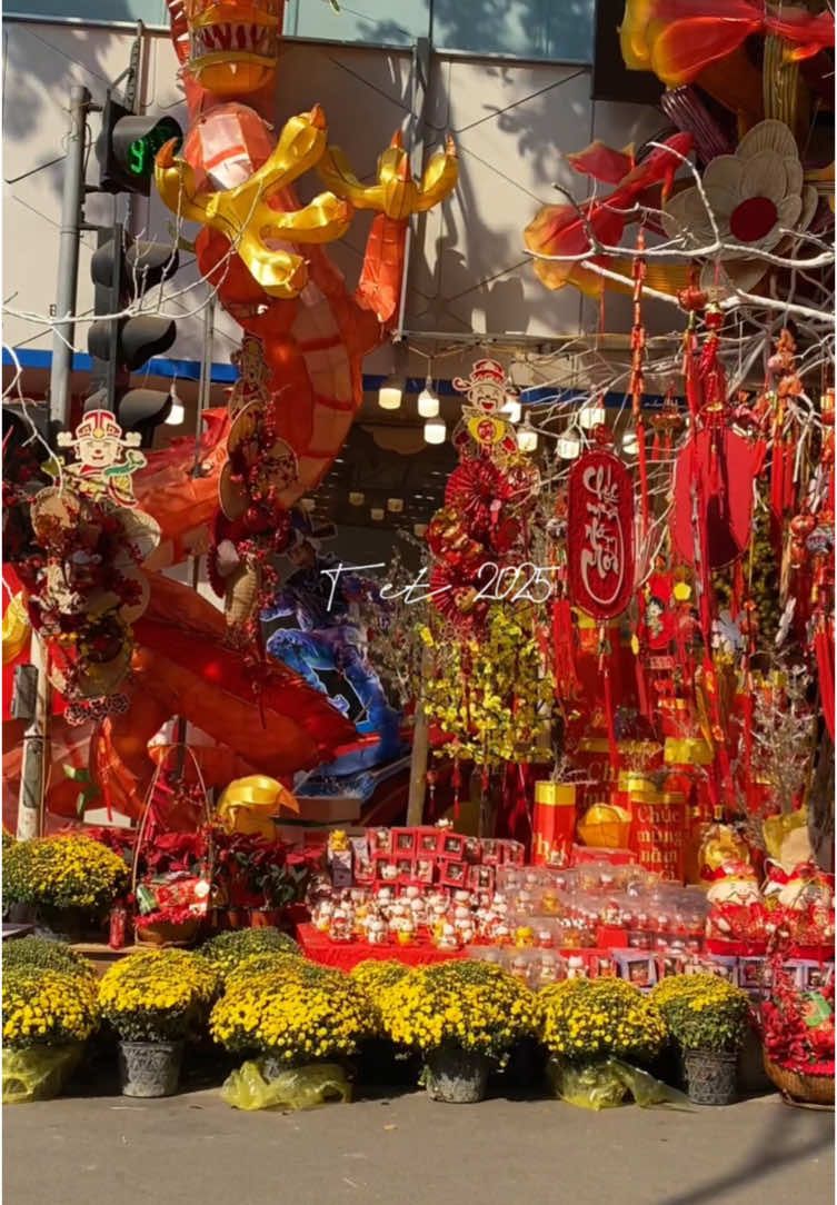 CHỢ TẾT ẤT TỴ 2025  #viraltiktokvideo #trogggveooo #trending #chillwithtiktok #dulichvietnam #hanoi #travel #te #tetvietnam #phohangma #chotet #trendingvideo #trendingsong #tiktokviral 