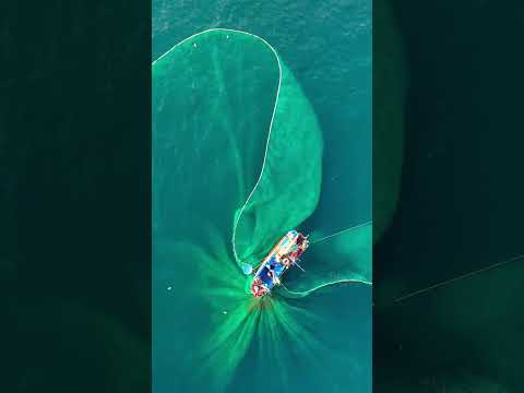 An unique place to visit in Vietnam | Quy Nhon #shorts #vietnamtravelagency #besttravelagency #viral