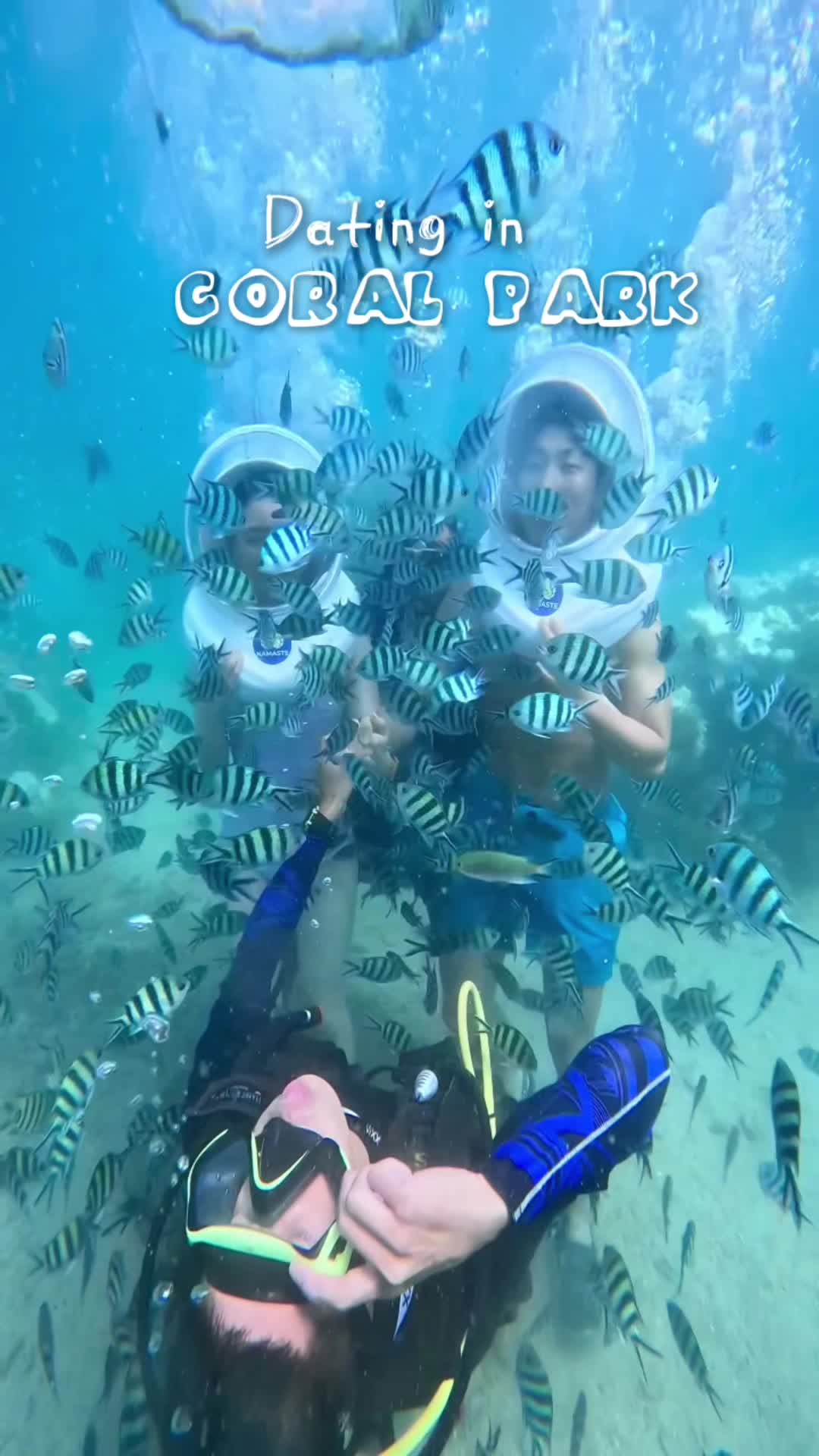 Điểm hẹn h&ograve; l&yacute; tưởng cho m&ugrave;a h&egrave; n&agrave;yyy đ&acirc;y rồi #seawalker #diboduoidaybien #seawalking #diboduoibien #NamastePhuQuoc #congviensanho#coravel #dating 