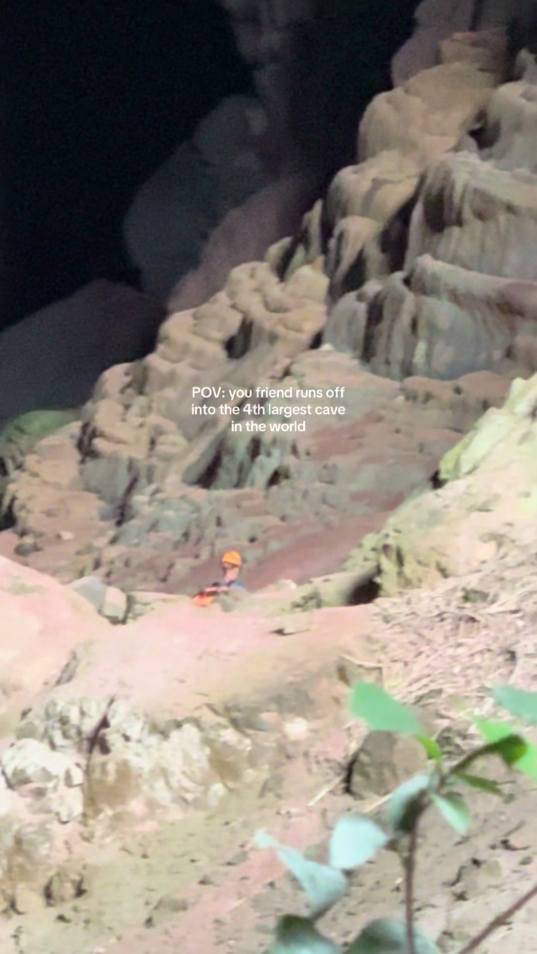 Guess we gotta go in after him now #vietnamtravel #phongnha #caves #fyp