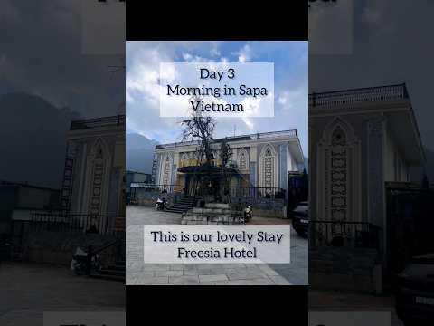 Morning In Sapa Vietnam 🇻🇳 | Day 3 #vietnam #sapa #morning #youtubeshorts #viral #travel #vlog