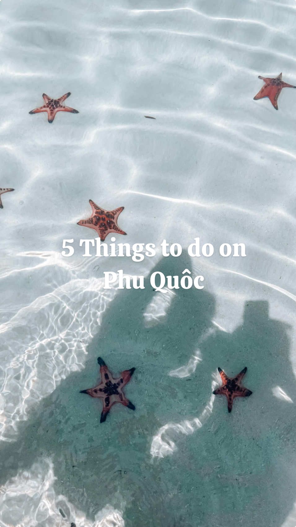 This is your sign to plan that trip to Phu Qu&ocirc;c 🌴🥥🇻🇳 #travel #vietnam #phuquoc #traveltiktok #island #traveltip 