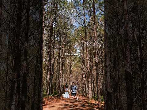 Travel Vlog #26 | Moments 💗 Dalat Trip 2023 - Tiny's Lifestyle #shorts #dalat