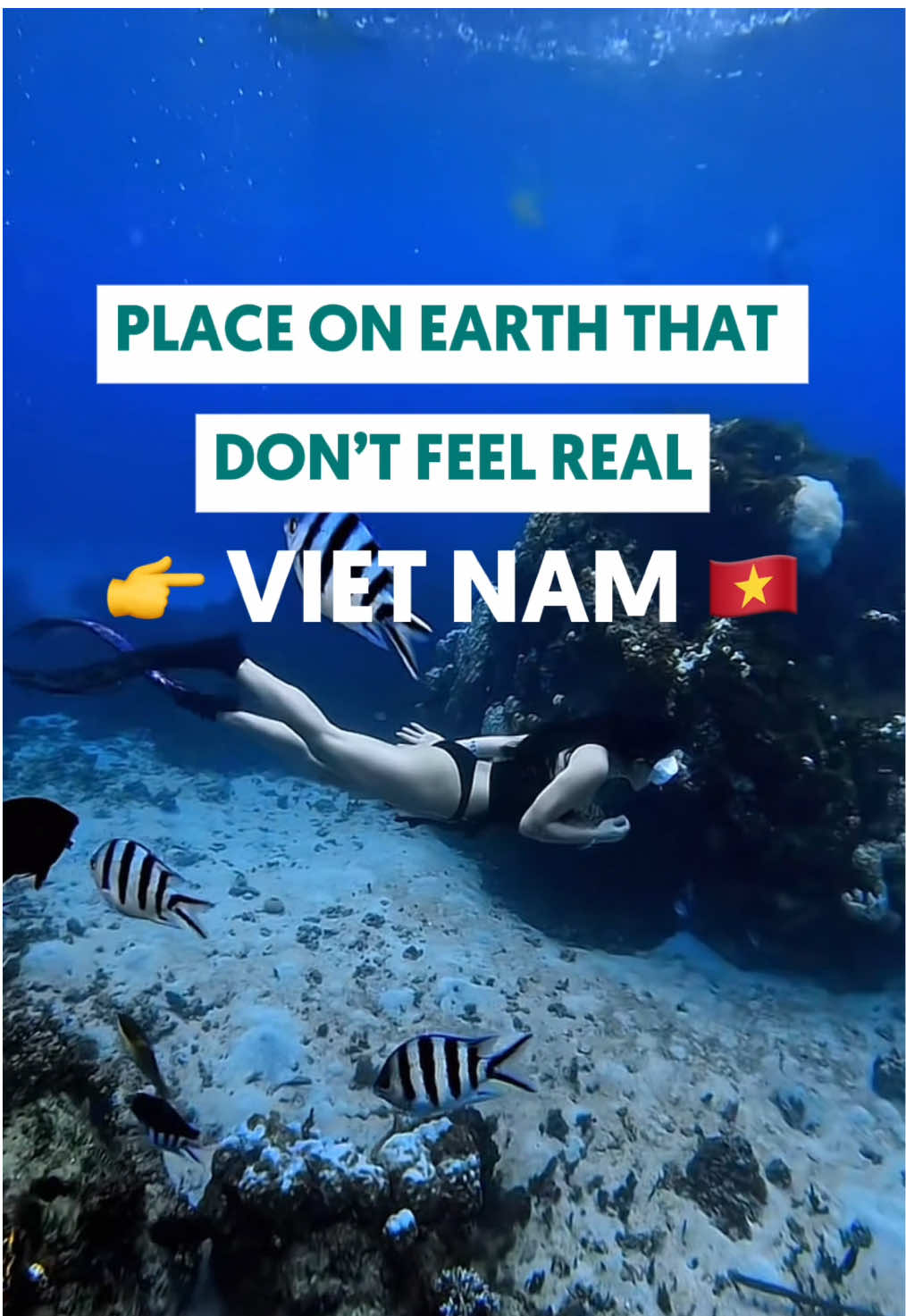 Vietnam is one of the world&rsquo;s attractive destinations Vietnam's Ha Long Bay Hoi An, and Phong Nha-Ke Bang have been named among the 16 most favourite UNESCO world heritage wonders in Southeast Asia by leading UK-based travel magazine Wanderlust. UNESCO-listed Ha Long Bay, one of the most beautiful places in the world, was ranked first in the list.  Vietnam is a country of contrasts, with bustling cities and tranquil countryside, pristine beaches, and rugged mountains, it said. #openasiatravel #AsiaTravel #traveltok #Vietnam 
