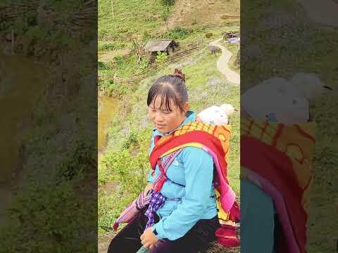 Overnight stay with Hmong Tribe #shorts #youtubeshorts #sapa