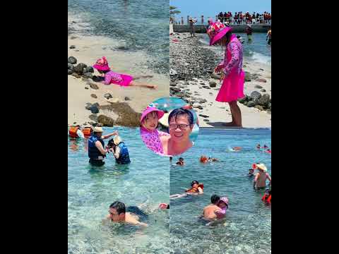 Nha Trang Snorkeling tour by Vuongland travel 2024  #travel #vietnamtours #vietnamtourism #summer