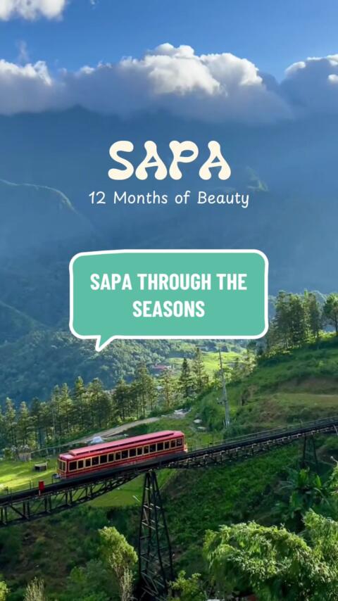 SAPA THROUGH THE SEASONS: 12 Months of Breathtaking Views in Northern Vietnam Sapa is gorgeous, no matter the month! 🌸 From the cherry blossoms and rare snow in winter (Jan-Feb) to the golden rice terraces of harvest season (Sep-Oct), every visit offers a new, stunning view. When will you experience the magic? 👉 Tell us: Which month is the best time to visit Sapa? #Sapa #SapaVietnam #VietnamSeasons #TravelSapa #RiceTerraces     