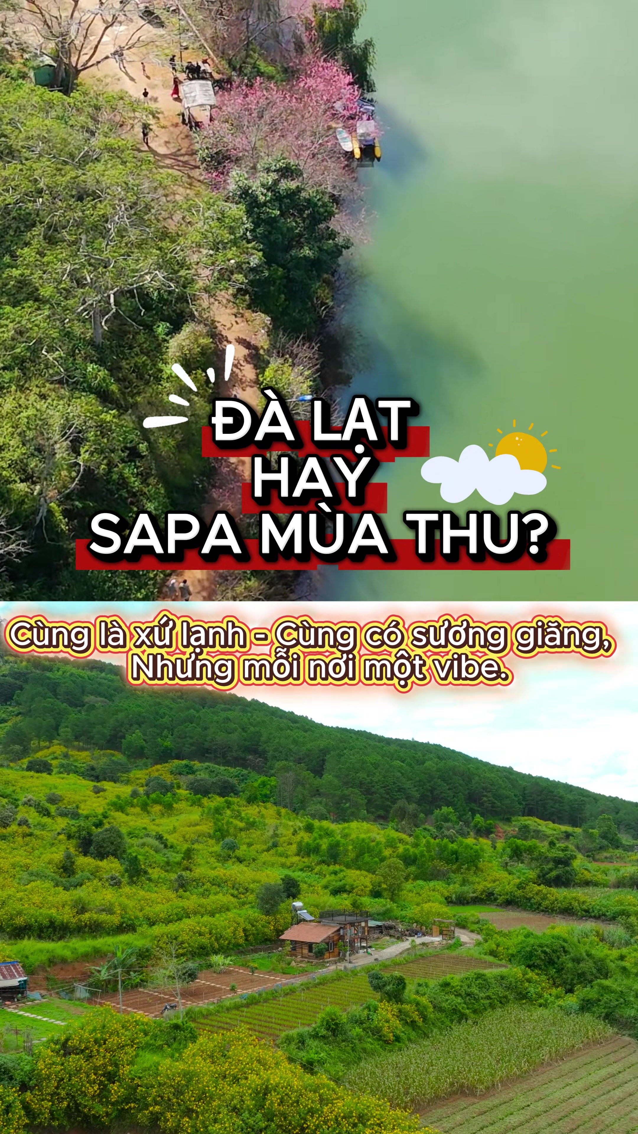 Đ&agrave; Lạt hay Sapa m&ugrave;a thu? &ndash; Cuộc chiến +kh&ocirc;ng khoan nhượng! 😎 🔥 Cuộc đụng độ của 2 đại diện xứ lạnh: 🌸 Team Đ&agrave; Lạt l&ecirc;n tiếng: - Trời thu xanh vắt, hoa nở bốn m&ugrave;a 🌼 - Chill nhẹ quanh Hồ Xu&acirc;n Hương, sống ảo rooftop mệt nghỉ - M&ugrave;a hồng ch&iacute;n ngọt ng&agrave;o, l&ecirc;n ảnh auto "chạm mood" 🍑 - Đường l&aacute; phong đỏ rực như H&agrave;n Quốc, tha hồ h&oacute;a th&acirc;n &ldquo;trai xinh &ndash; g&aacute;i thơ&rdquo; 🌾 Team Sapa đ&aacute;p trả: - M&ugrave;a thu ruộng bậc thang s&aacute;ng rực cả v&ugrave;ng trời T&acirc;y Bắc - Fansipan gi&oacute; lạnh, săn m&acirc;y l&atilde;ng mạn, k&eacute;o mood đi chơi tới n&oacute;c nh&agrave; Đ&ocirc;ng Dương - Trekking bản C&aacute;t C&aacute;t, chill như đang ở Thuỵ Sĩ 🇨🇭 👉 Nếu chỉ c&oacute; 3 ng&agrave;y nghỉ thu n&agrave;y, bạn chọn Đ&agrave; Lạt mộng mơ hay Sapa huyền b&iacute;? #sohatravel #sapa #dalat #muathu #xuhuong 