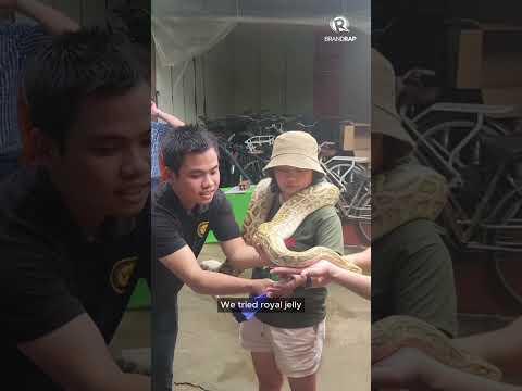 Vietnam barkada tour at the Cu Chi Tunnels and Mekong Delta #ShareAsia