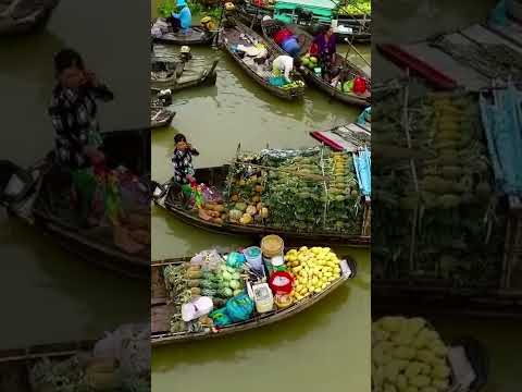 Phong Dien floating market in Can Tho #shorts