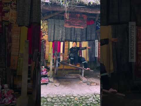 Bản C&aacute;t C&aacute;t Sapa - Cat Cat Village in Sa Pa, Vietnam #shorts
