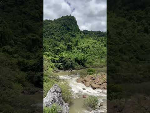 The Nature of Phong Nha🇻🇳 #shorts #vietnamtravel #River