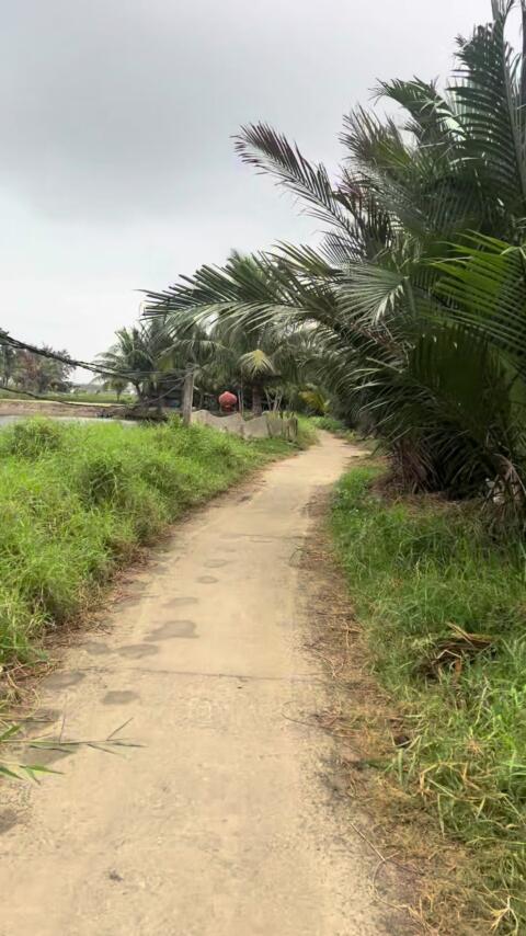 Countryside bike ride tour - Hoi An
