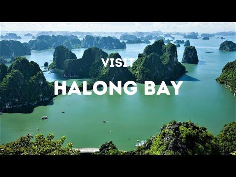 Halong Bay, Vietnam - Top 10 Things not to miss! - Travel Video #shorts #vietnam