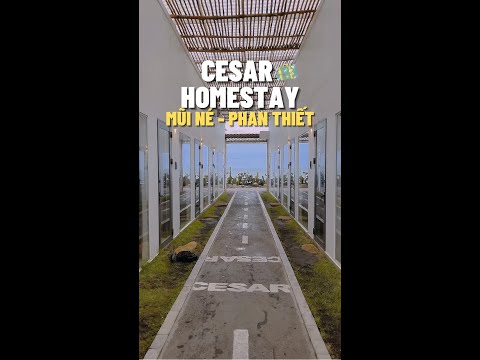 C&Aacute; MẬP MẬP︱Cesar homstay Mũi N&eacute; - Phan Thiết #shorts