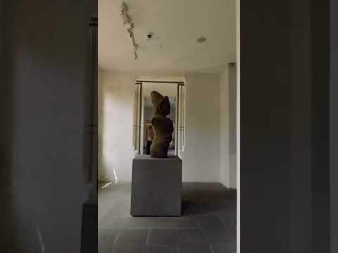 Da Nang Museum of Cham Sculpture Tour 🇻🇳 #shorts