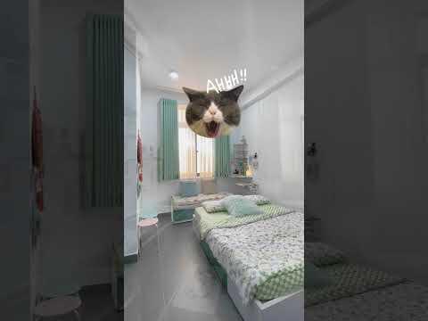 Địa điểm h&egrave;n h&ograve; mới ở B&igrave;nh Thạnh cho c&aacute;c cặp đ&ocirc;i n&egrave; 😉 #shorts #homestay