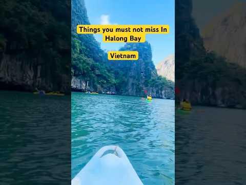 Halong Bay Cruise - Must Do in Vietnam 🇻🇳🌊#vietnamtravel  #hanoi #halongbay #vietnaminsider