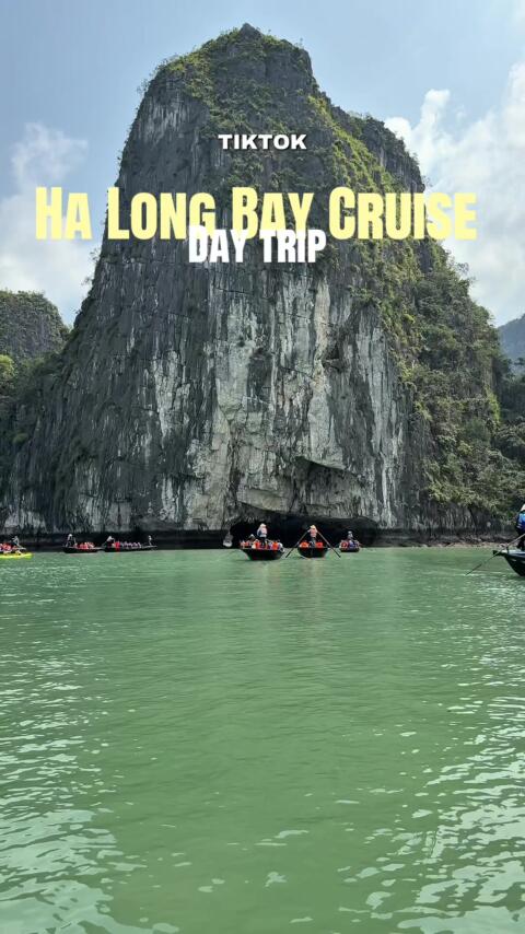 I was expecting tranquil vibes at Ha Long Bay not pure chaos 😭 #halongbay #halongbaycruise #vietnam #vietnamtravel 