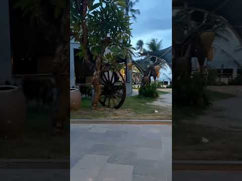 LE VIVA MUI NE RESORT In the evening. #sunrise  #shorts #short