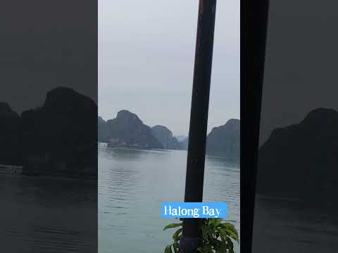 Visting Halong Bay #travel #viral #shorts #travelbdtbd #boattrip #naturephotography #vietnam #halong