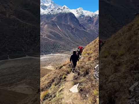 Ascend to Kyanjin ri (4773m) Langtang Valley Trek, Nepal #shorts