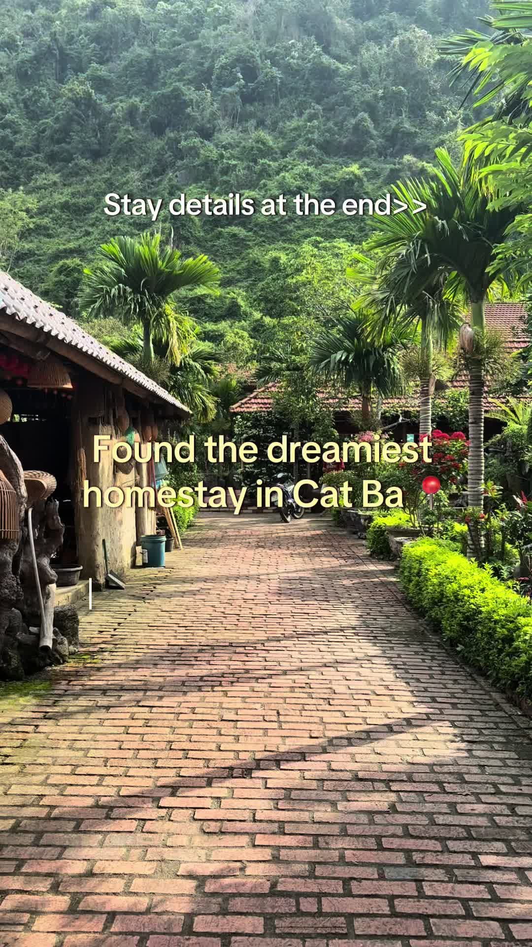 Best Family & Friend Day Trips and Activities in Vietnam 176 We stayed at the dreamiest homestay in việt hải, right of the coast of Cát Bà. Called Việt Hải Lan Homestay. Best homestay in cát bà 2025 #livingabroad #traveingwithkids #vietnam #vietnamtravel #hanoi #catba #catbahomestay #creatorsearchinsights