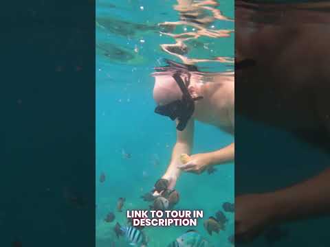 Snorkeling at Hon Tam Island in Nha Trang Bay #vietnam