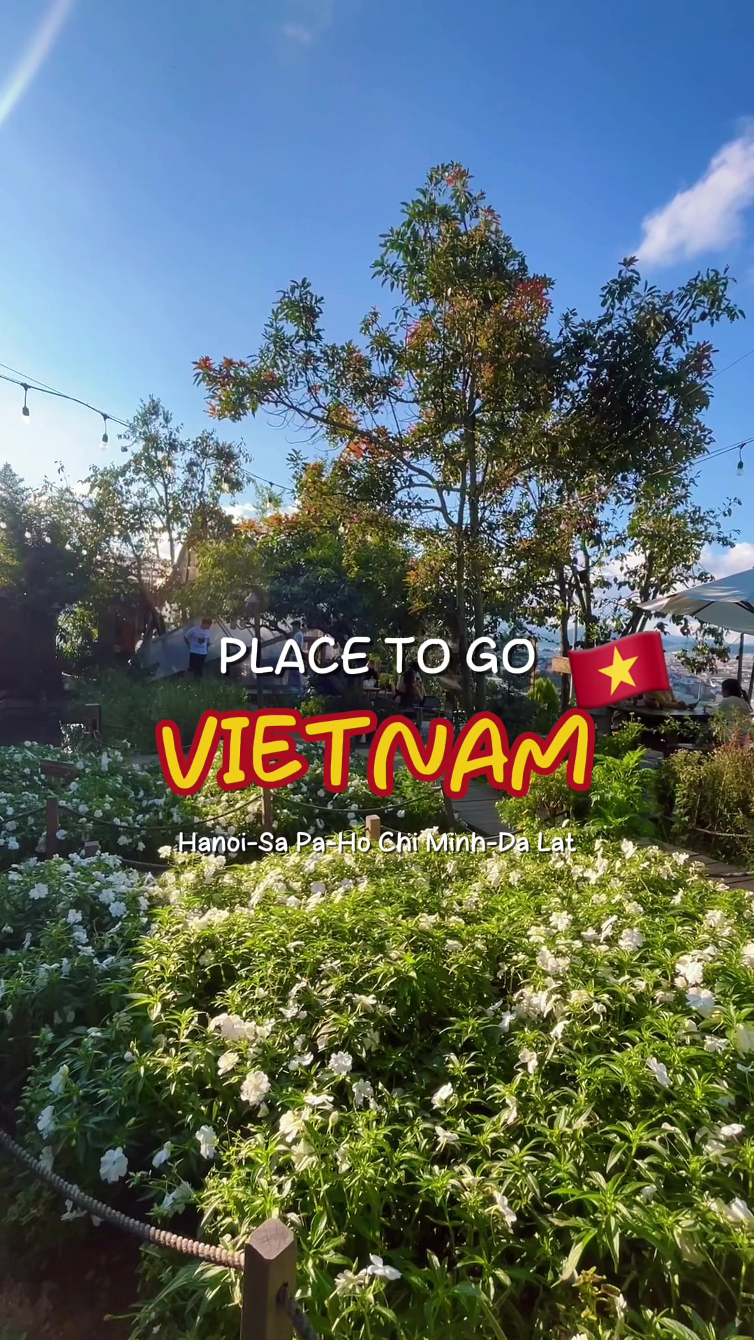 Kalo mau ke 4 kota di Vietnam, nih tempat-tempat yang bisa kalian kunjungi🫵🏽 #vietnam #explorevietnam #vietnamese #explorevietnam🇻🇳 #placetogovietnam #visitvietnam #vietnamtravel #itineraryvietnam #sapa #dalat #hanoi #hochiminh #ttpetualangpro 