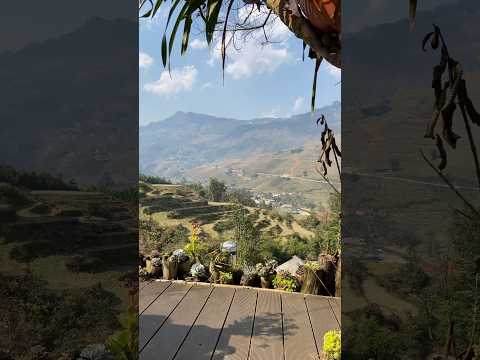 Why you need to visit Northern Vietnam #sapa #vietnam #shorts