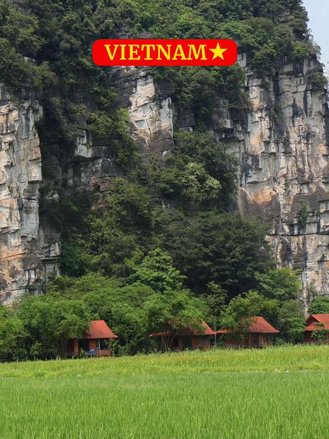 Most Beautiful Homestay in Ninh Binh, Vietnam 🇻🇳 We stayed here and it was absolutely beautiful! The Homestay is only short Grab ride to Tr&agrave;ng An, Mau Caves, Tam Cốc and Ninh Binh. Boasting lake views, Lotus Field Homestay features accommodation with balcony, around 18 km from Bai Dinh Temple. There is an in-house restaurant, plus free private parking and free WiFi. The homestay offers mountain views, a sun terrace and a 24-hour front desk. Accessible via private entrance, all units have air conditioning, soundproofing, desk and a private bathroom with a bidet. A fridge and kettle are also offered. At the homestay, the units have bed linen and towels. &Agrave; la carte and continental breakfast options with phở (noodle soup), pancakes, fruits and juice are available every morning at the homestay. There is a coffee shop, bar and lounge. A variety of wellness packages are available for guests to get rejuvenated on-site. The area is popular for cycling and walking tours, and free use of bicycles is available at Lotus Field Homestay. Outdoor play equipment is also available at the accommodation, while guests can also relax in the garden. @vintagefoodfarm @lotusfieldhomestay #Vietnam #food #travel #train #vintagefoodfarm #countryside #foodie #fun #holiday #traditional #ricefields #lotusfields #fish #hanoi #ninhbinh #traveling #pho #australia #adventure #eat #rural #vietnamese #caves #mountains #river #paradise #local #homestay