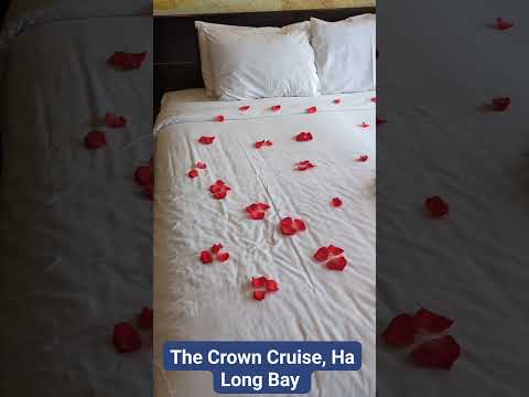 Ha Long Bay night stay at luxury cruise #travel  #viralvideo #trending #shorts #viralshorts