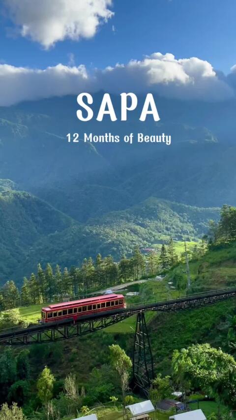 Which season is the best time to visit Sapa? 🍃⛰️  Each month has its own charm - from snow and blossoms to golden rice terraces. When would you go? #sapa  #vietnamtravel  #explorevietnam  #vietnamexpresstour 