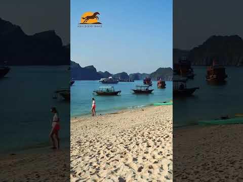 Halong Bay Travel Guide: Best Time to Go