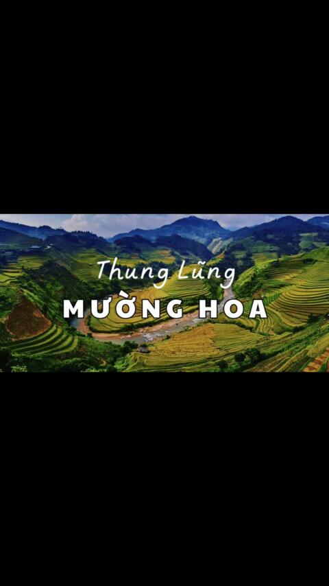 Muong Hoa Valley 🌿 &ndash; a breathtaking masterpiece of Sapa with winding terraced fields, clear streams, and dreamy mountain clouds. Not only a place of stunning landscapes, it also preserves the unique culture of the ethnic communities living along the valley 🏞️✨ #MuongHoa #Sapa #Vietnam #MuongHoaValley #sapatrekkingmamacita 