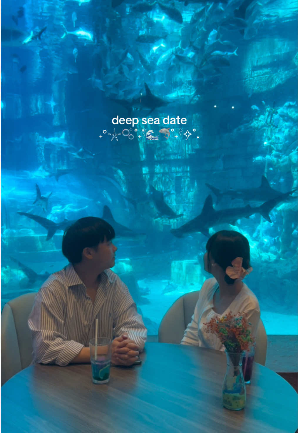 an unforgettable date #phuquoc #phuquocisland #vinwondersphuquoc #vinwonders #dateideas #date #couple #traveltiktok #aquarium 