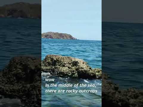 wonderful beach in vietnam | Quy Nhon Vietnam 2022 #shorts