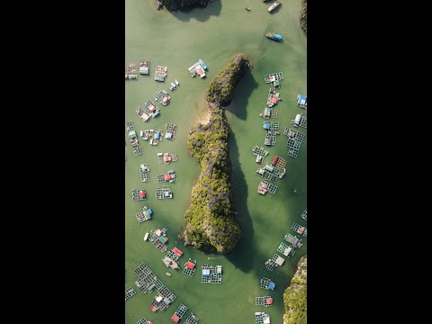 10 Best Places to Visit in North Vietnam