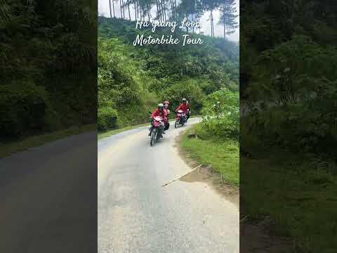 Ha giang Loop Motorbike Tour #reels #shorts #short #youtubeshorts #shortvideo #youtube #hagiang #yt
