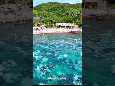 🌊 Phu Quoc: The Island You Won&rsquo;t Believe Exists! 🤯🏝️ #travel #vietnam #phuquoc