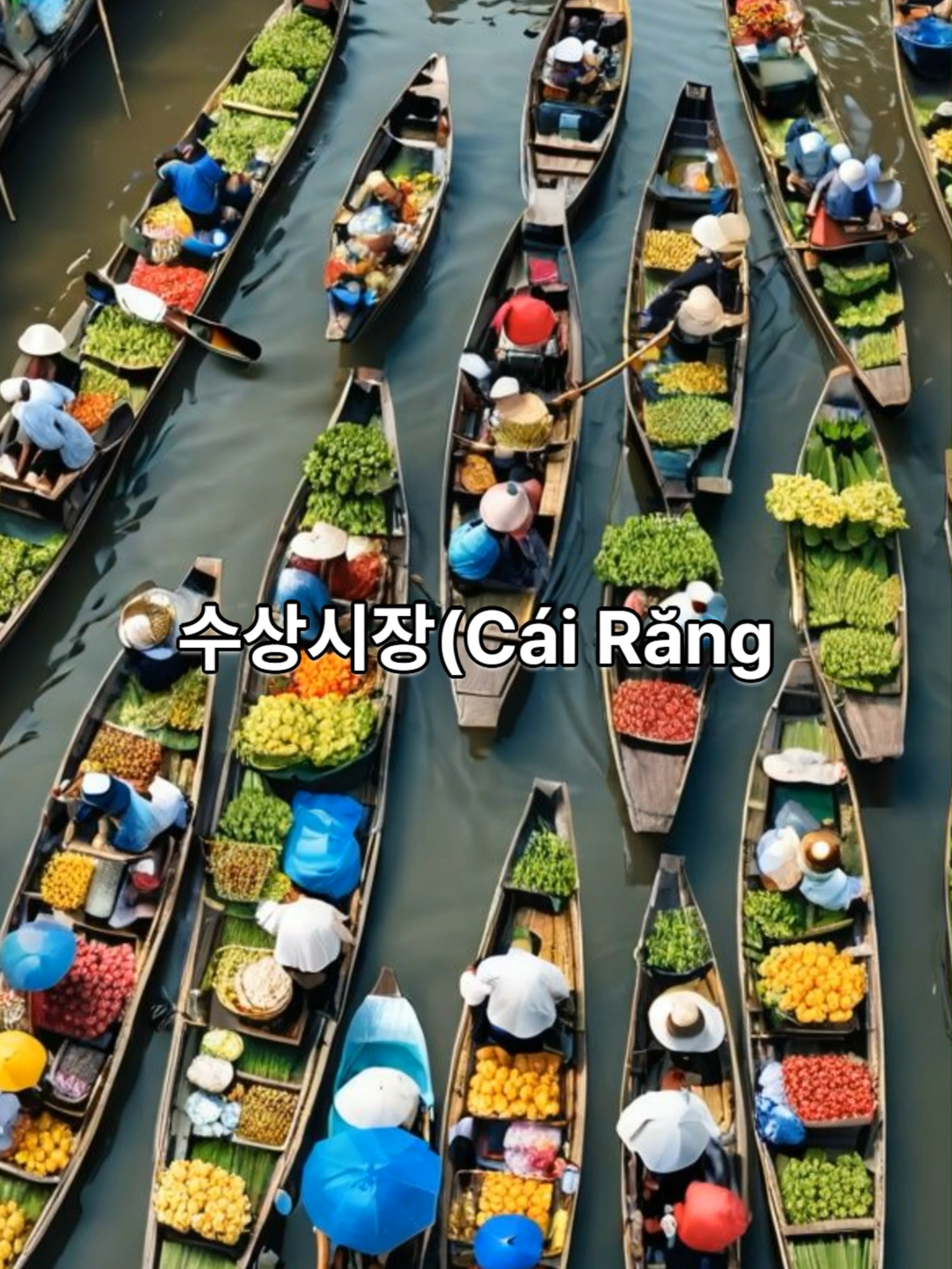 🚤 길이 없다? 배 위에서 열리는 베트남 시장! | Vietnam&rsquo;s Floating Market in Real Life 🌊 강 위에서 쌀국수를 팔고, 과일을 배에서 배로 건네주는 사람들. 이곳은 **베트남 까이랑 수상시장(C&aacute;i Răng Floating Market)**입니다. 🛶 도로가 아닌 강물이 길이 되는 시장, 여기선 가게 대신 배, 손님 대신 물살이 흐릅니다. 🕐 하루 중 가장 붐비는 시간은 새벽, 현지 상인과 관광객이 함께 살아 있는 전통을 주고받는 곳이죠. 📍 메콩 델타의 심장, **까이랑 시장은 단순한 볼거리가 아닌 지금도 숨 쉬는 베트남 남부의 &lsquo;생활문화 유산&rsquo;**입니다. 🇬🇧 This is not a scene from a movie &mdash; Vietnam&rsquo;s C&aacute;i Răng Floating Market is real, and it&rsquo;s alive with flavors, trade, and tradition. 📌 구독과 좋아요는 더 많은 이야기를 만듭니다 🙌 📌 Like & Subscribe for more authentic culture from Vietnam! #베트남여행 #수상시장 #CaiRangMarket #VietnamFloatingMarket #메콩델타 #베트남문화 #VietnamTravel #FloatingMarketLife #전통시장 #LifeOnWater #베트남남부 #베트남라이프 #Shorts #VietnamShorts #동남아문화
