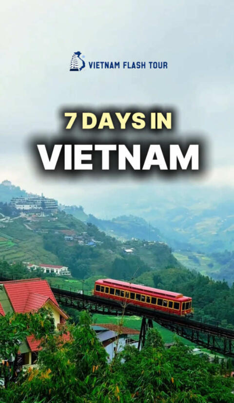 🇻🇳 7 Days to Explore the Best of Northern Vietnam Short on time but want to see it all? Here&rsquo;s the perfect 7-day Northern Vietnam adventure! ✨ 📍 Hanoi &ndash; Discover the Old Quarter, street food, and the famous Train Street. 📍 Ha Long Bay &ndash; Cruise through thousands of limestone islands and explore stunning caves. 📍 Ninh Binh &ndash; Enjoy peaceful boat rides through rivers and dramatic karst mountains. 📍 Sapa &ndash; Trek through breathtaking rice terraces and ethnic minority villages. From vibrant cities to misty mountains and emerald bays, this trip shows you the very best of Northern Vietnam in just one week. 🌿 📩 DM us to plan your Vietnam adventure today! 💾 Save this itinerary for your next trip to Vietnam!                             Vietnam Flash Tour - Hanoi office : 9E Đinh Liệt street ,Hoan Kiem dis                            WhatsApp: +84967991441 #viraltiktok #vietnamtravel #vietnam 