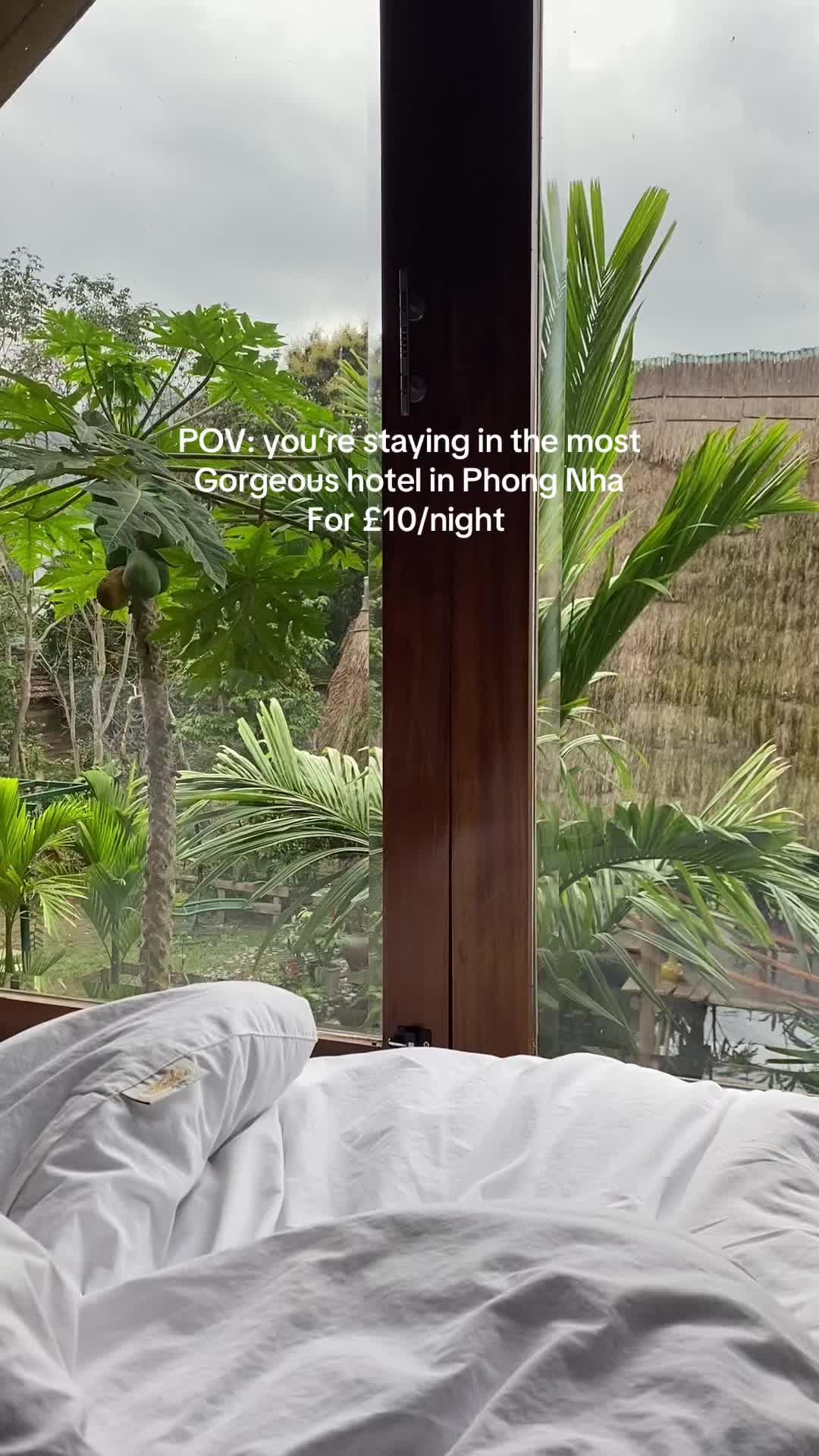 Found a hidden piece of paradise🌴 #vietnam #phongnha #budgettravel #luxuryhostel #traveltiktok #southeastasia #seasia #serenity 