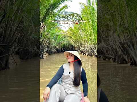 Mekong Delta River.. #mekongriver #mekongdeltavietnam #vietnam #shorts #shortvideo