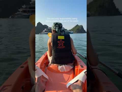 #vacation #kayaking #vietnam #halongbay #ocean #mermaid #sea
