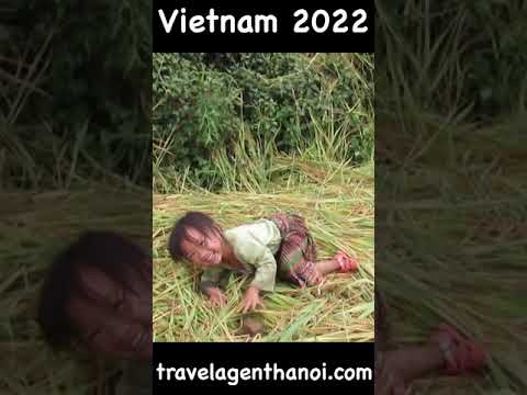 Vietnam Travel 2022 | Children of Sapa #shorts