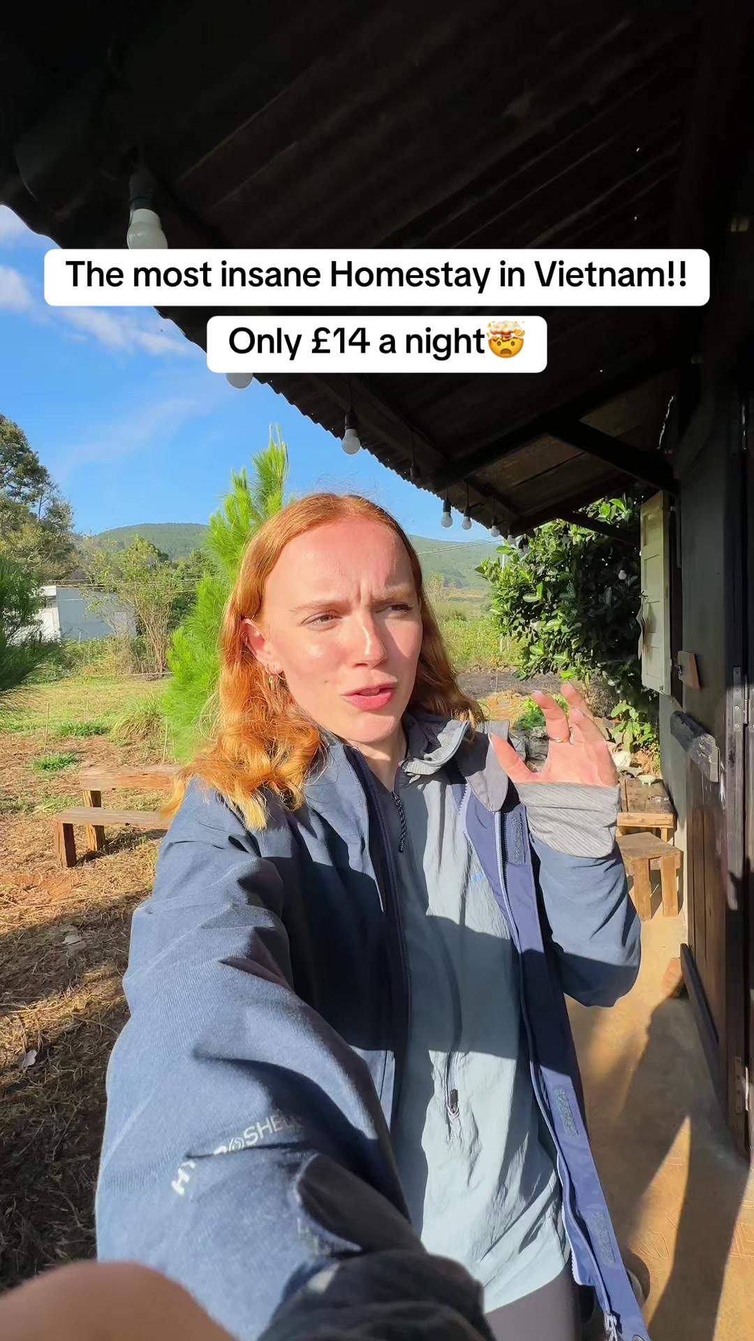 Would you pay to stay here? It&rsquo;s only &pound;7 per person!🤯  📍ivy coffee farm - cabin house Da Lat Vietnam🇻🇳  #vietnamtravel #travelvlogs #dalattrip #roomtour 