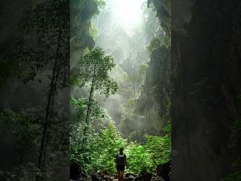Son Doong Cave, Vietnam #shortvideo #shorts  #viral