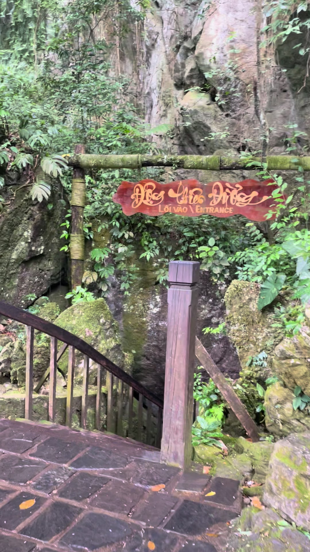 Động thi&ecirc;n đường sau hơn 500m leo bậc 🥲#dongthienduong #ParadiseCave #quangbinh #quangtri #phongnhakebang