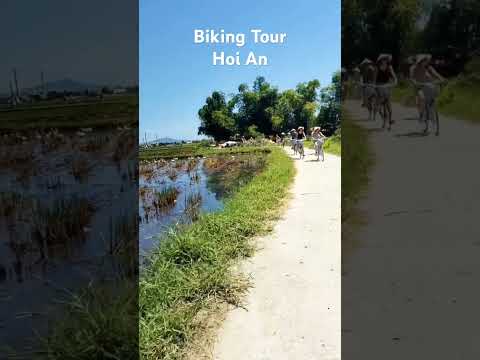 Explore Hoi An Countryside By Bike 🚴🌾🦢 #hoian #experience #countryside #biking #cycling #rural